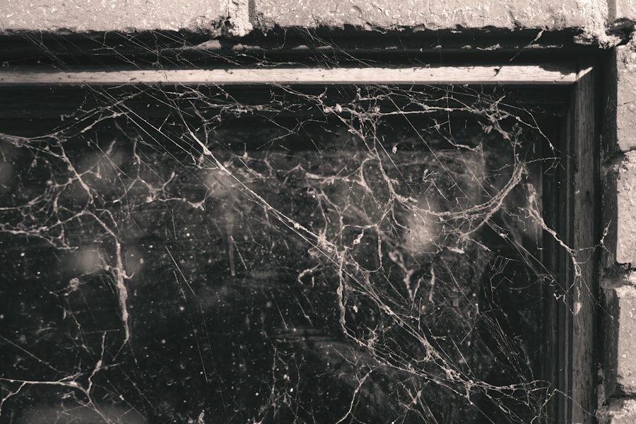 Photo asbestos
